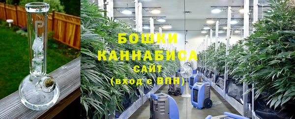 мдпв Каменногорск