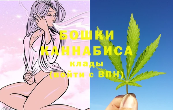 мдпв Каменногорск