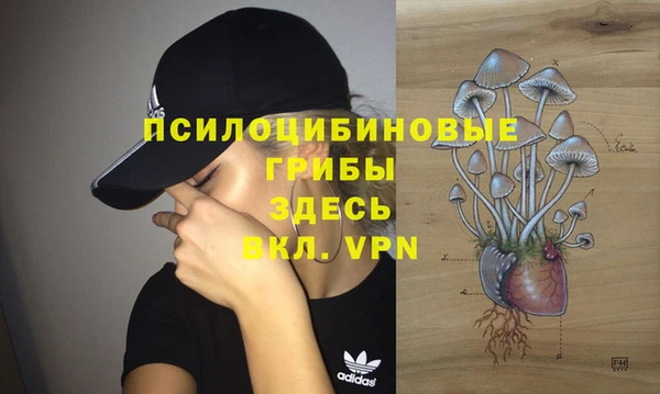 синтетический гашиш Карпинск