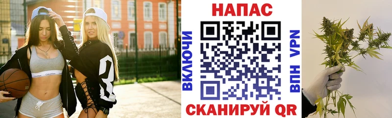мега   Кочубеевское  Канабис конопля 